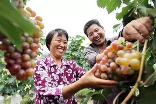 青島地道風(fēng)物 家門口就能買到的初級農(nóng)產(chǎn)品優(yōu)選指南