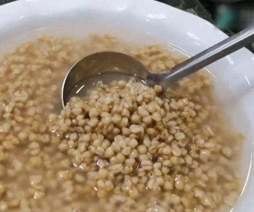 渦陽麥仁酵兒 那一口，真滋潤