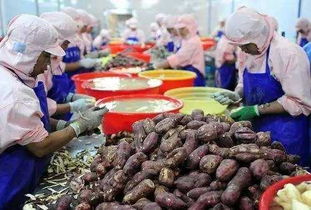 2017年，錯(cuò)過這些初級農(nóng)產(chǎn)品好項(xiàng)目，農(nóng)民朋友們或?qū)⒑蠡? />
</span>
<span id=